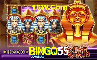 Casino Ao Vivo BINGO55