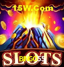 Provedores de Jogos BINGO55