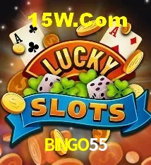Sistemas de Segurança BINGO55