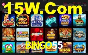 Programa VIP BINGO55