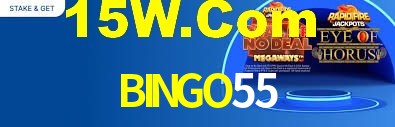 Premium Interface BINGO55