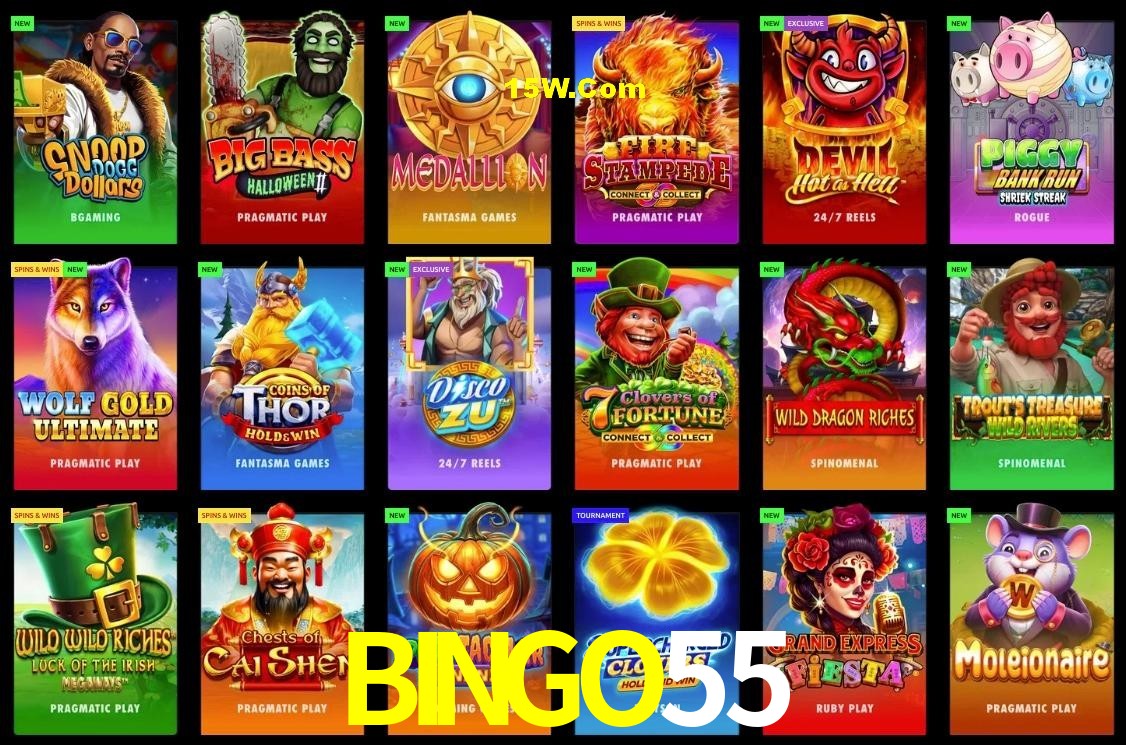 Account Benefits BINGO55