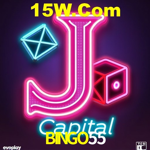 BINGO55 — tipos de mensagem disponíveis no canal de opinião do aplicativo