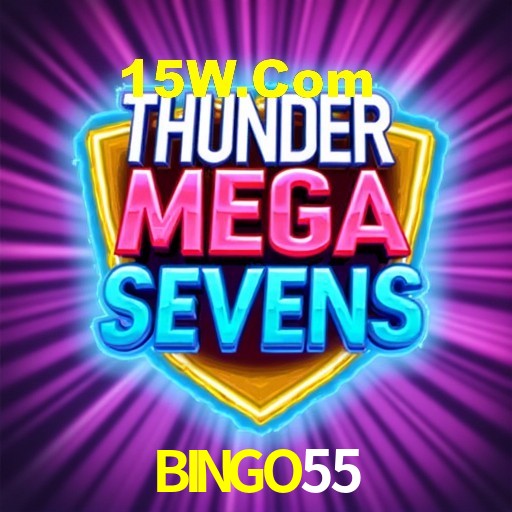 Experiência VIP BINGO55