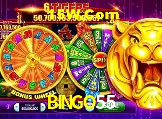 Benefícios da Conta BINGO55