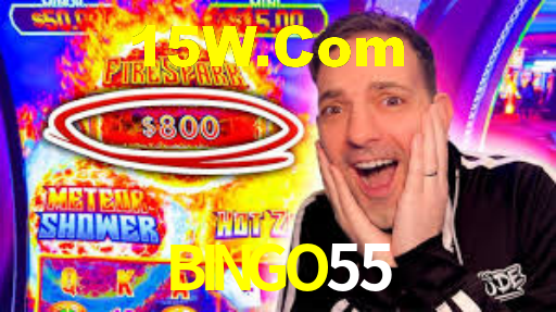 bingo55.com