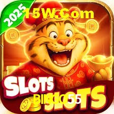 Experiência VIP BINGO55