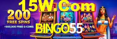 VIP Casino BINGO55